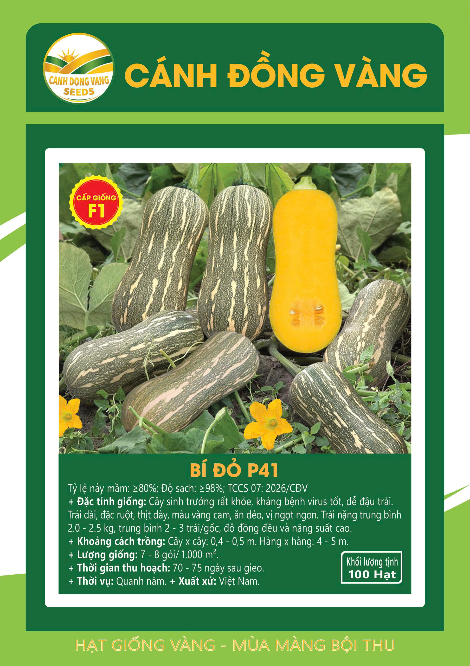 BÍ ĐỎ P41